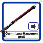 Gummizug-Harpunen gross