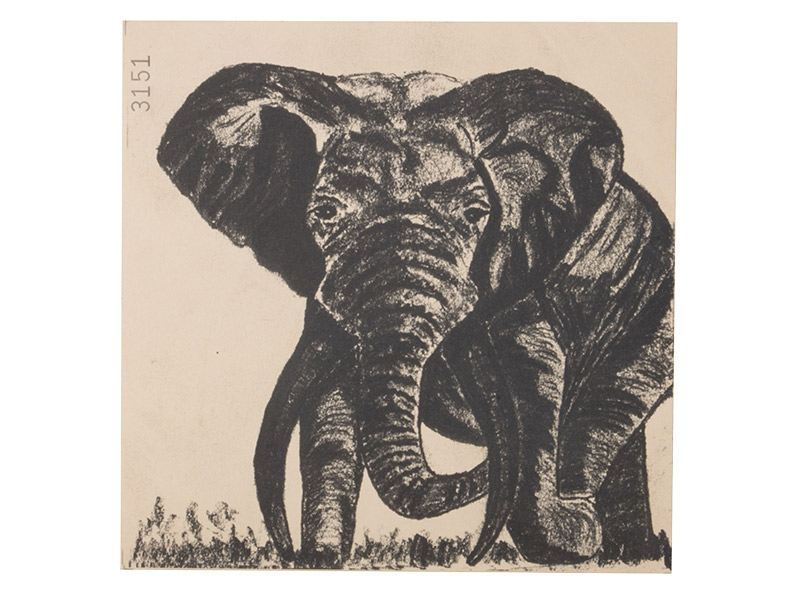 Zielscheibe Elefant 14 x 14 cm 1 Stück
