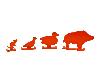 Stahlziele Klappziele Animals 4 Tiermotive zum Aufstellen orange
