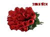 Schießbudenblume rote Rose Länge 23 cm 288 Stück